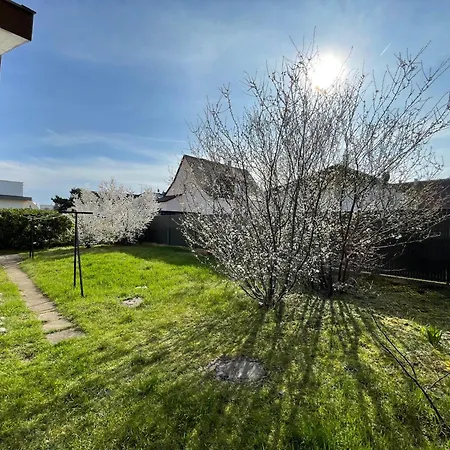 Feriehus Maison Individuelle 100 M2, Jardin Et Parking Prive
